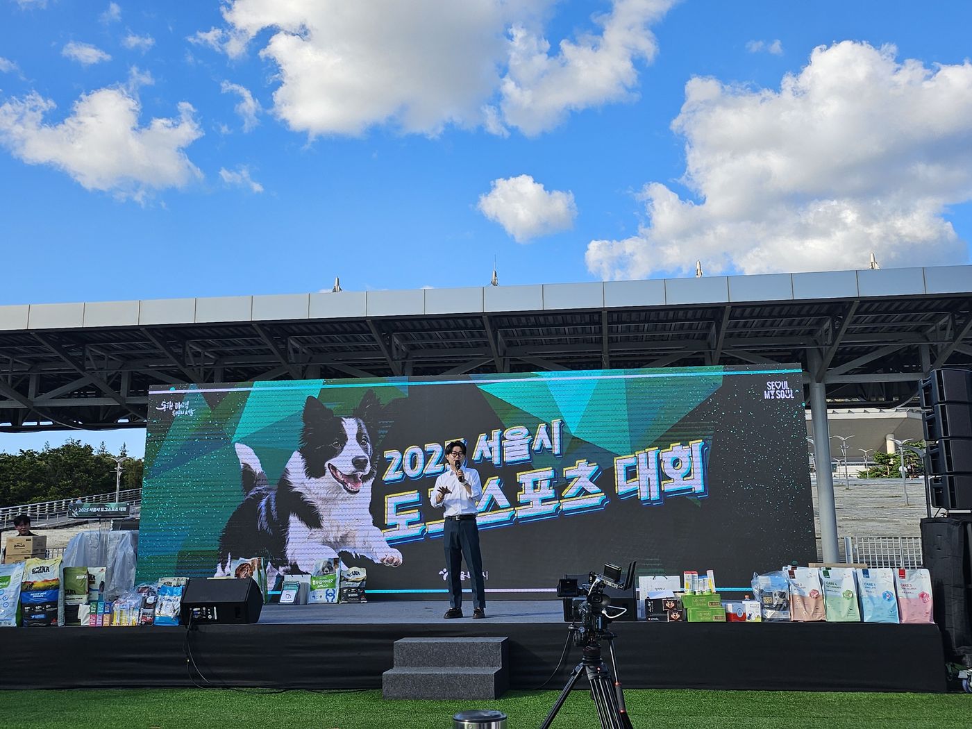 2025 서울시 도그스포츠 대회 현장